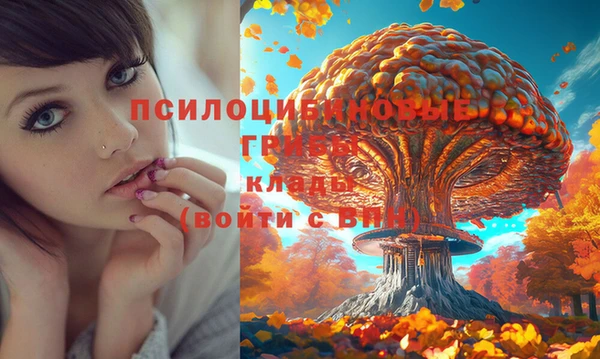 шишки Нея