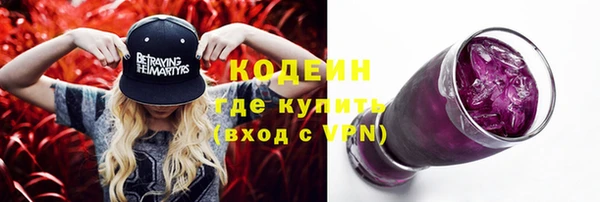 шишки Нея