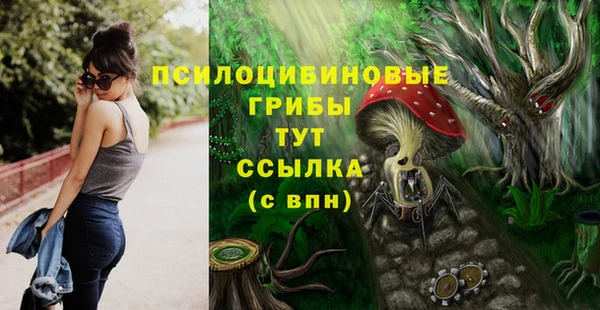 шишки Нея