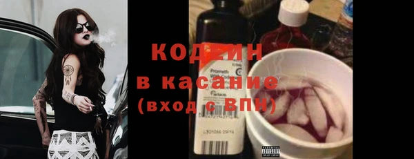шишки Нея