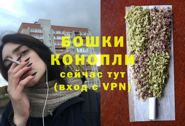 шишки Нея