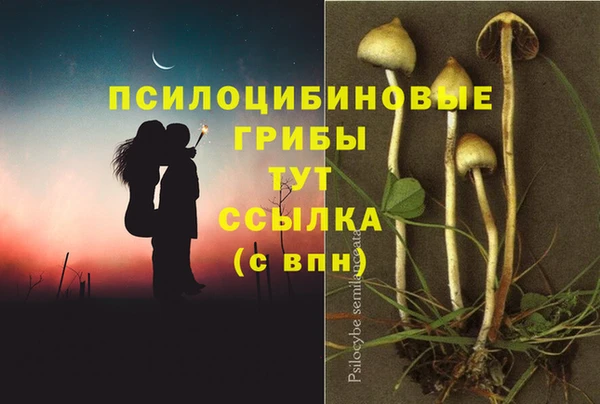 таблы Нефтегорск