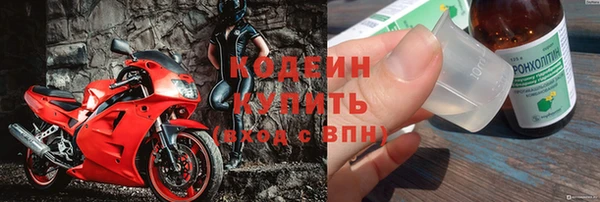 шишки Нея