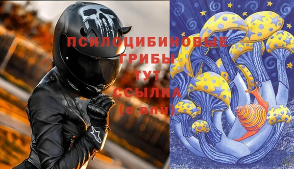 шишки Нея