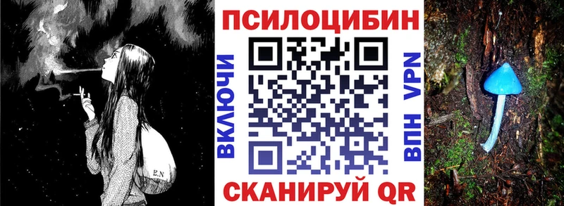 Галлюциногенные грибы Psilocybine cubensis  Болхов 